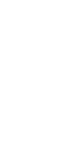 logo_praisedesign_v5_simple